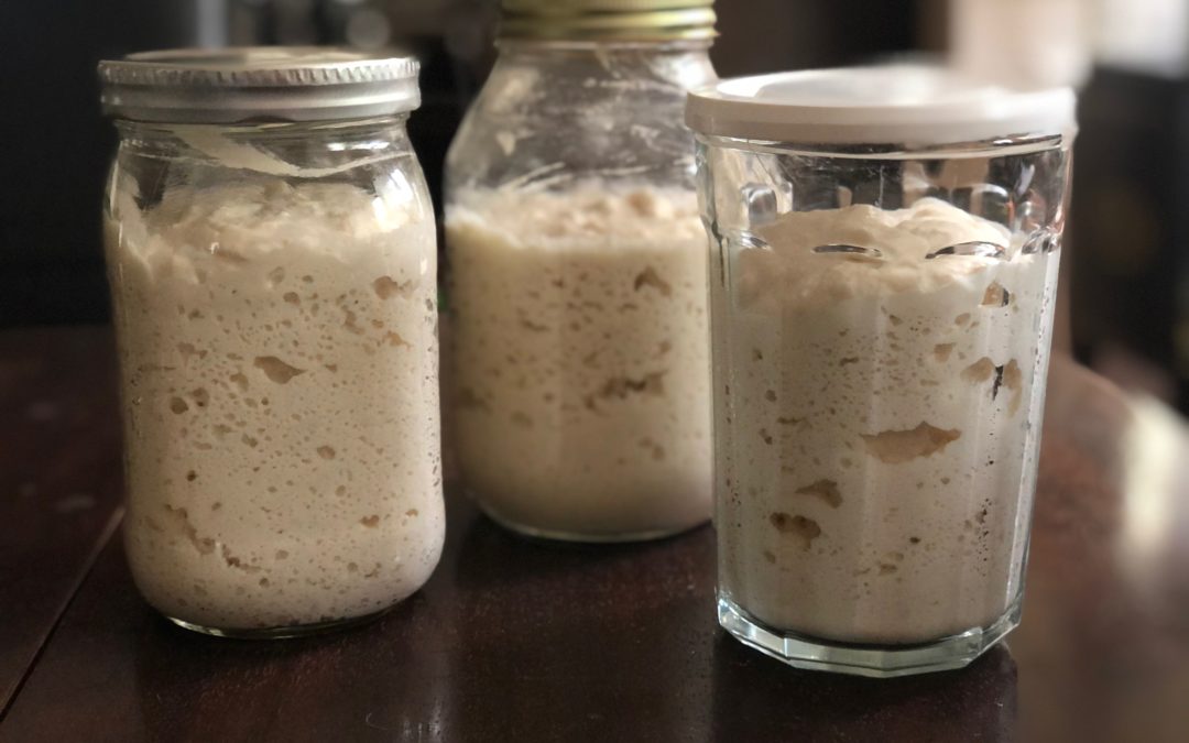 Gluten Free Sourdough Starter