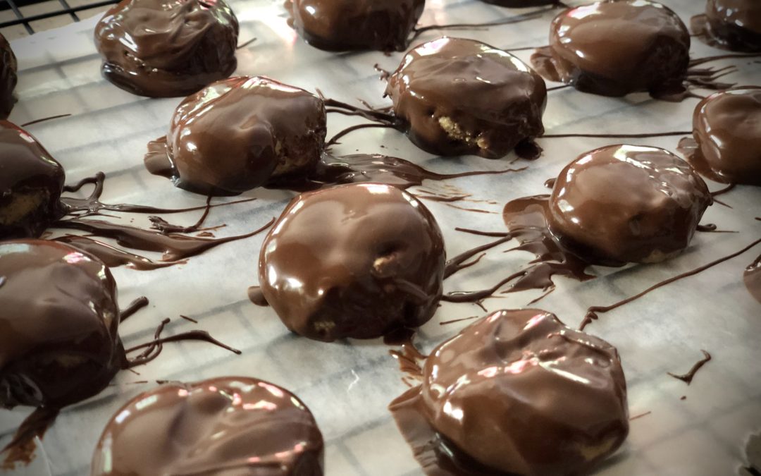 Chocolate Protein Bites